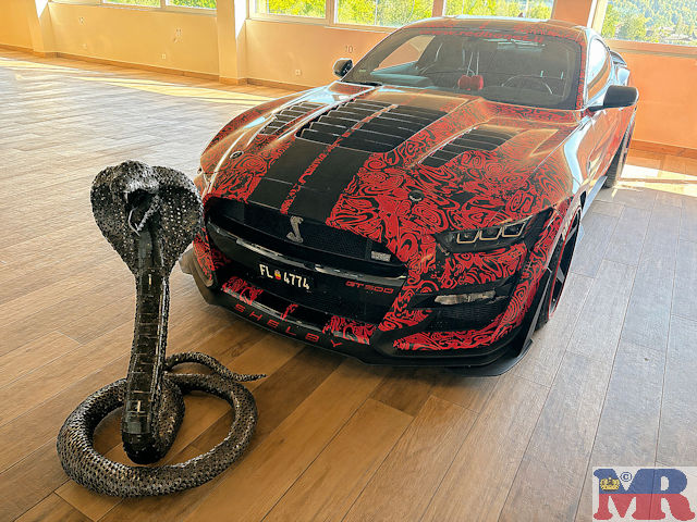 2020 Shelby GT500 SE